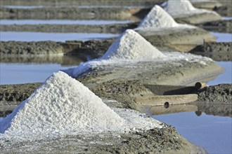 Salt pan for the poduction of Fleur de sel, sea salt on the island Ile de Ré, Charente-Maritime,