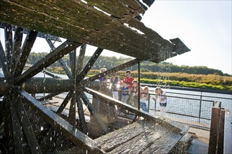 The ship mill on the Mulde near Höfgen