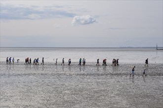 A group of pupils on a mudflat hike in the Wadden Sea National Park, low tide, Norddeich, Norden,