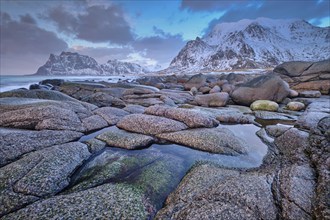 Rocks on beach of fjord of Norwegian sea in winteron sunset. Utakliev beach, Lofoten islands,