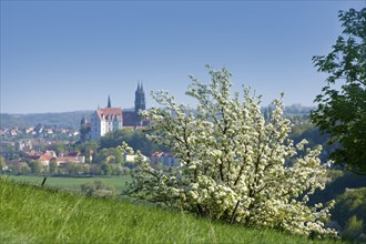 View of Meissen in the Elbe valley