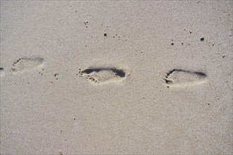 Footprints in the sand on a beach, near Tarragona, Catalonia, Spain, Europe