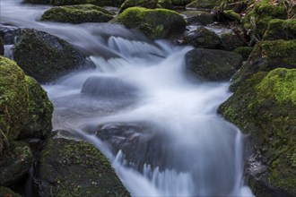 Gertelbach, Gertelbach Waterfalls, Gertelbach Falls, Gertelbach Gorge, Bühl, Bühlertal, Northern