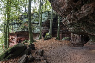 Old castle rock, red sandstone rock formation, natural and cultural monument, Brechenberg near