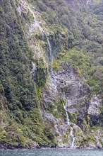 Wasserfälle, Milford Sound, Fiordland National Park, Neuseeland