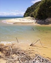 Abel Tasman Coast Track, Apple Tree Bay, Beach, Kaiteriteri, New Zealand, Oceania