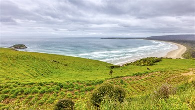 Tautuku Beach, Otago, Neuseeland