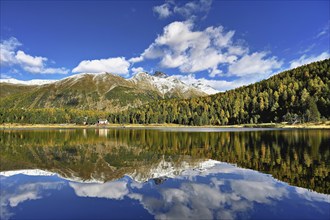 Autumn atmosphere with discoloured larches, Lake Staz, Lej da Staz, St. Moritz, Engadin, Canton