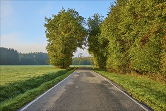 Road, meadow landscape, forest, sky, morning, beeches, Odenwald, Baden-Württemberg, Germany, Europe