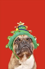 Cute French Bulldog dog wearing funny Christmas tree headband on red background with copy space