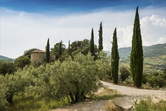 Buis-les-Baronnies, Departement Drôme, Provence, Provence-Alpes-Côte dAzur, France, Europe