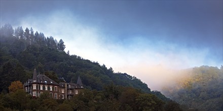 Fog with sunrise in the early morning on the wooded mountain slopes, Cochem, Rhineland-Palatinate,