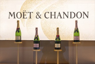 Moet & Chandon window display, champagne, logo, delicatessen, food, Stuttgart, Baden-Württemberg,