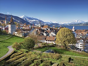 View from the rose garden at the Guggi to the Zytturm, Capuchin tower and church, old town, behind