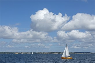 Sailboats, coast near Broager, Syddanmark, Denmark, Europe