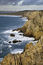 Sea cliffs at sunset at the Pointe de Pen-Hir, Finistère, Brittany, France, Europe