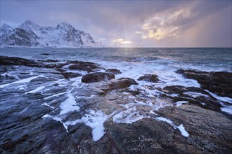 Beach of Norwegian sea on rocky coast in fjord on sunset in winter. Vareid beach, Lofoten islands,