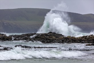 Waves, Curio Bay, Südland, Neuseeland