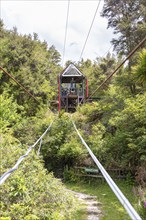 Buller Gorge Swingbridge, Buller River, Murchison, Neuseeland