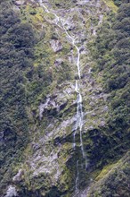 Wasserfälle, Milford Sound, Fiordland National Park, Neuseeland