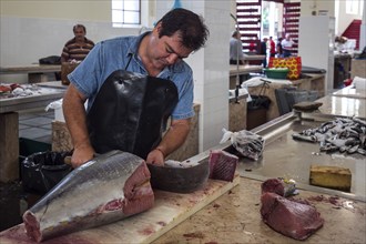 Tuna being cut up, fish hall, fish market, market hall Mercado dos Lavradores, Funchal, Madeira