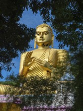 Seated Buddha, golden temple, Dambulla, Sri Lanka, Asia