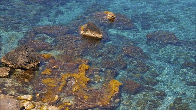 Green sea, lichen-covered rocks, detail, Marettimo, Egadi Islands, Sicily, Italy, Europe