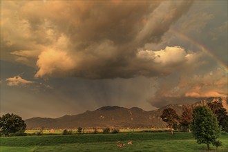 Evening mood with clouds and rainbow over mountains, summer, Loisach-Lake Kochel-Moore, view of