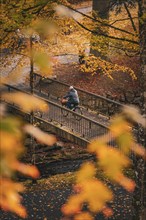 Cyclist on bridge in spa gardens during autumn, Bad Wildbad, Black Forest, Germany, Europe