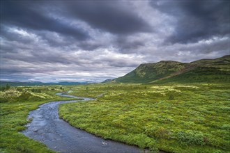 Fjell area near the lake Savalen, Fjell, landscape, river, evening mood, Savalen, Tynset,