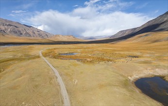 Aerial view, Burkhan mountain valley with a herd of sheep, barren dramatic mountain landscape,