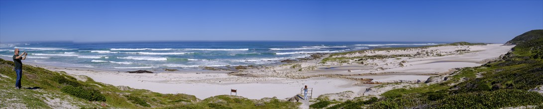 Sand dunes, Platboom Beach, Cape Point, Cape of Good Hope, Cape Peninsula, Western Cape, South