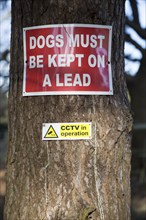 Dogs must be kept on a lead CCTV in operations signs on a tree, Suffolk, England, Uk