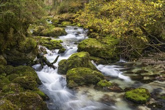 The Schwarzbach stream flowing away from the Gollinger waterfall (Schwarzbachfall,