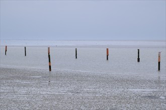 Post in the Wadden Sea National Park, low tide, Norddeich, Norden, East Frisia, Lower Saxony,