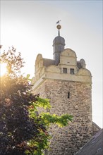 Stone castle tower in bright morning light with a weather vane and treetops in the foreground, Harz