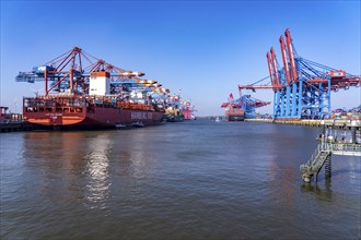 Port of Hamburg, Waltershofer Hafen, EUROGATE Container Terminal, container freighter Cap San