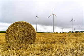 Power lines, high-voltage power lines, wind turbines, grain field, north-east of Höxter, North