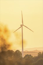 A wind turbine in the golden light of the sunset in the landscape, Harz Mountains, Germany, Europe