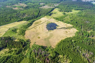 Aerial view, moor, forest, lake, water, Eskilstuna, Sweden, Europe