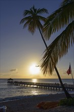 Evening sky with a sun reflected in the water, dominated by a palm tree and jetty, Dominicus beach,