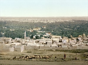 Damascus, Holy Land, Syria, c. 1890, Historic, digitally restored reproduction from a 19th century