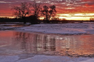 Winter floods 2024 on the Elbe and Mulde rivers with flooding of the meadows, ice on the meadows