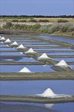 Salt pan for the production of Fleur de sel, sea salt on the island Ile de Ré, Charente-Maritime,