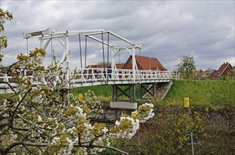 Hamburg, Altes Land, Hogendiekbrücke, springtime