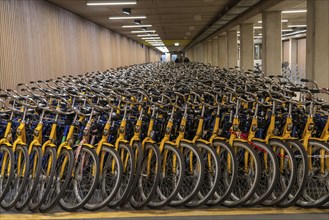 Bicycles at the OV-Fiets rental station, at Utrecht Central Station, hundreds of rental bikes