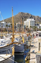 Port de Polença, harbour, in the northwest of, Majorca, Spain, Europe