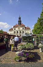 Europe, Germany, Lower Saxony, Hamburg metropolitan region, Lüneburg, weekly market market in front