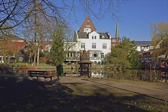 Europe, Germany, Lower Saxony, Buxtehude, Hamburg metropolitan region, City park in spring, Bird