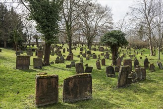 Jewish cemetery Heiliger Sand, Worms, Rhineland-Palatinate, Germany, Europe